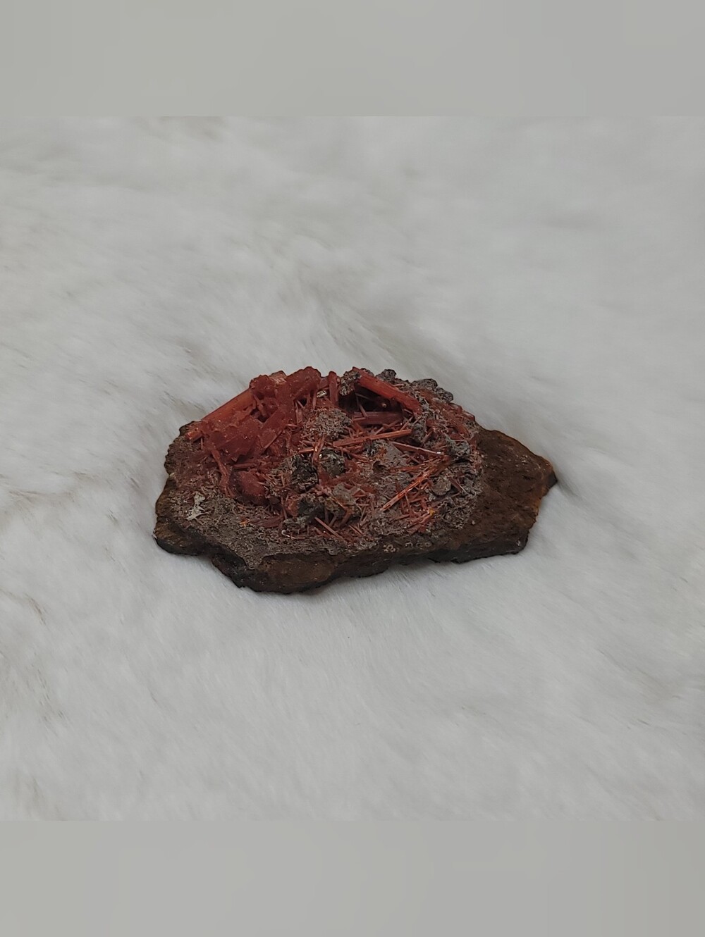 Raw Crocoite Geode Crystal Rough On A Matrix AKA Red/Orange Lead Ore .039lb Rare